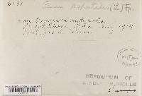 Image Associated With the Occurrence