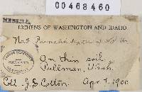 Image Associated With the Occurrence