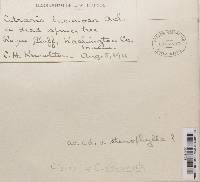 Image Associated With the Occurrence