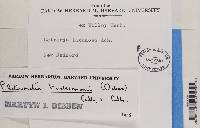 Image Associated With the Occurrence