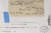 Image Associated With the Occurrence