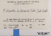 Image Associated With the Occurrence