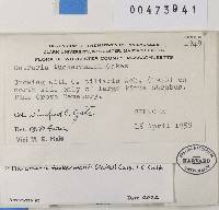 Image Associated With the Occurrence