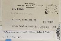 Image Associated With the Occurrence