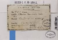 Image Associated With the Occurrence