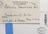 Image Associated With the Occurrence