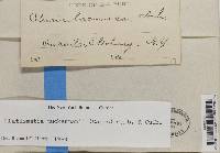 Image Associated With the Occurrence