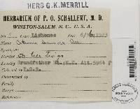 Image Associated With the Occurrence