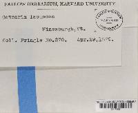 Image Associated With the Occurrence