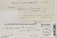 Image Associated With the Occurrence