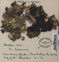 Image Associated With the Occurrence