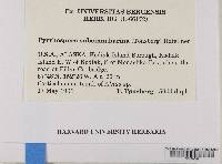 Media resource of Pyrrhospora subcinnabarina