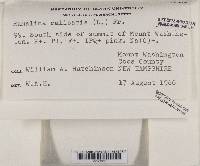 Image Associated With the Occurrence