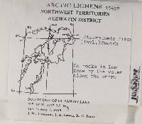 Staurothele fissa image