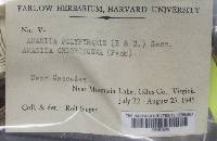 Image Associated With the Occurrence