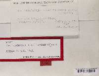 Image Associated With the Occurrence