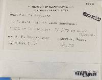 Image Associated With the Occurrence