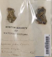 Image Associated With the Occurrence