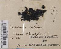 Image Associated With the Occurrence