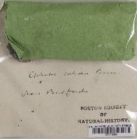 Image Associated With the Occurrence