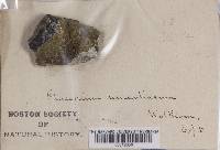 Image Associated With the Occurrence