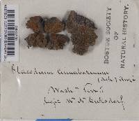 Image Associated With the Occurrence