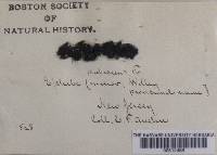 Image Associated With the Occurrence