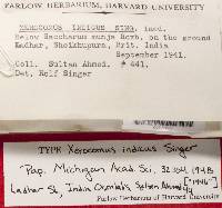 Thumbnail image of current specimen