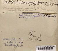 Media resource of Matruchotia varians