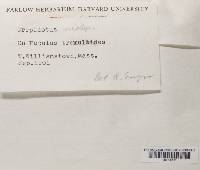 Image Associated With the Occurrence