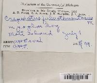 Image Associated With the Occurrence