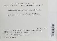 Image Associated With the Occurrence