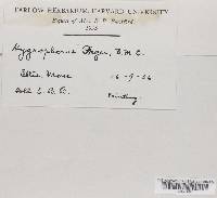 Image Associated With the Occurrence