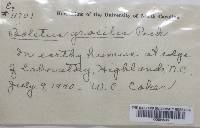 Image Associated With the Occurrence