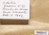 Image Associated With the Occurrence