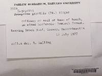 Image Associated With the Occurrence