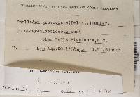 Thumbnail image of current specimen