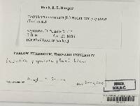 Image Associated With the Occurrence