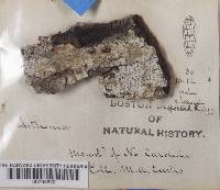 Image Associated With the Occurrence