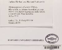 Image Associated With the Occurrence