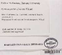 Image Associated With the Occurrence