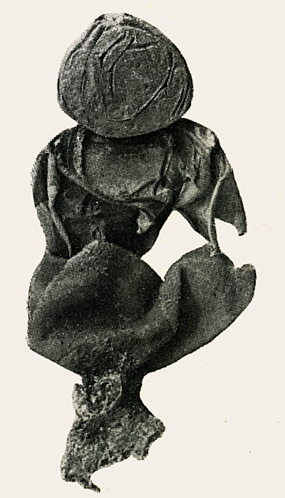 Geastraceae image
