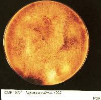 Image Associated With the Occurrence