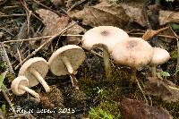 Image Associated With the Occurrence