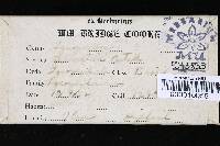 Lycoperdon gemmatum image