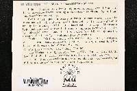 Meliola parathesicola image