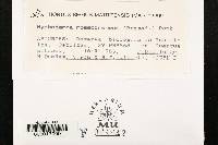 Image Associated With the Occurrence