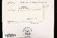 Media resource of Ceriporia purpurea