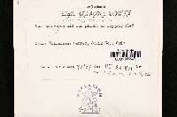 Coniophora olivacea image