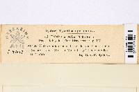 Image Associated With the Occurrence